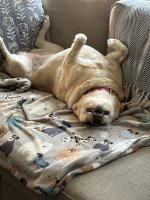 IMG_1614.jpeg