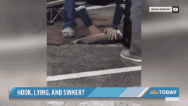 weights-in-fish-we-got-weights-in-fish.gif weights-in-fish-we-got-weights-in-fish.gif