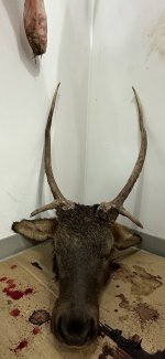 IMG_1162.jpeg