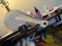 IMG_0296.jpeg