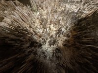 IMG_9591.jpeg
