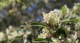 IMG_9641.jpeg