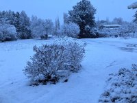 IMG_1873.jpeg
