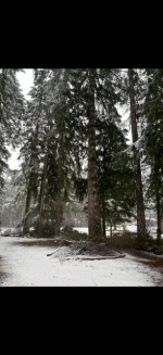 SNOW.png