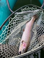 IMG_9049.jpeg