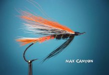 Max Canyon .jpg