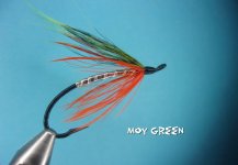 Moy Green.jpg