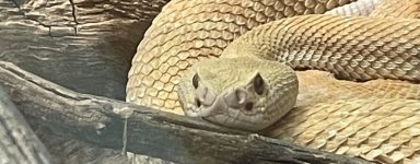 IMG_9669.jpeg
