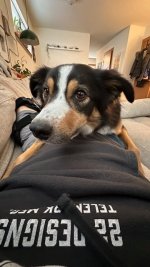IMG_6396.jpeg