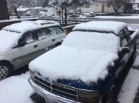 IMG_4524.jpeg