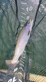 20260309_120851.jpg