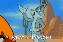 1773511337886.gif