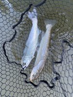 IMG_0052.jpeg