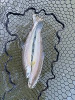 IMG_0058.jpeg