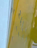 IMG_0083.jpeg