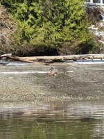 IMG_0071.jpeg