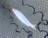 IMG_2659.jpeg