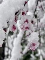 IMG_5984.jpeg