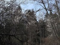 IMG_0491.jpeg