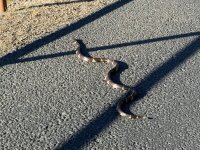 IMG_0312 (1).jpeg