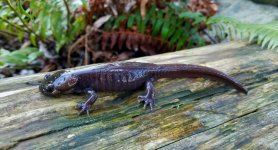 20180309_085904.jpg