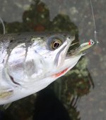 IMG_6080.jpeg