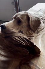 IMG_2814.jpeg