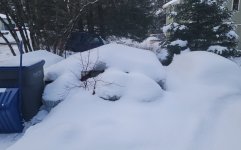 20260316_171549.jpg 20260316_171549.jpg