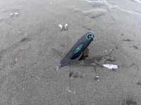IMG_7844.jpeg