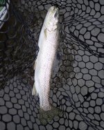 IMG_6118.jpeg