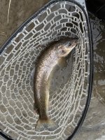 IMG_3379.jpeg