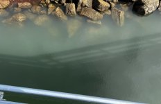 IMG_6123.jpeg