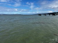 IMG_6125.jpeg