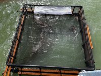 IMG_6126.jpeg
