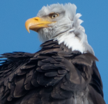 1774131301134.png