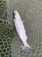 IMG_0165.jpeg