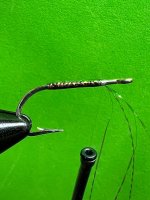 IMG_6136.jpeg