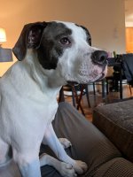 IMG_8906.jpeg