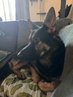 IMG_8907.jpeg