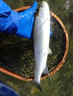 IMG_6173.jpeg