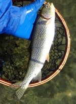 IMG_6171.jpeg