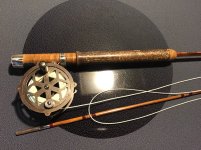 IMG_4547.jpeg