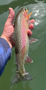 IMG_9088.jpeg