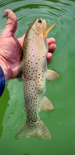 IMG_9074.jpeg