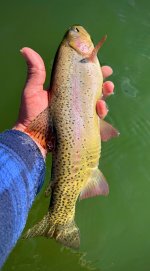 IMG_9123.jpeg