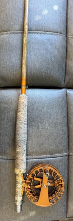 IMG_5381.jpeg