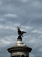 IMG_3208.jpeg