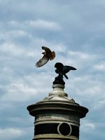 IMG_3209.jpeg