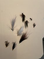 IMG_5676.jpeg