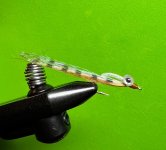 IMG_6194.jpeg